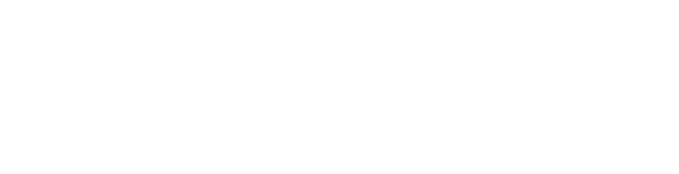 Efektywni